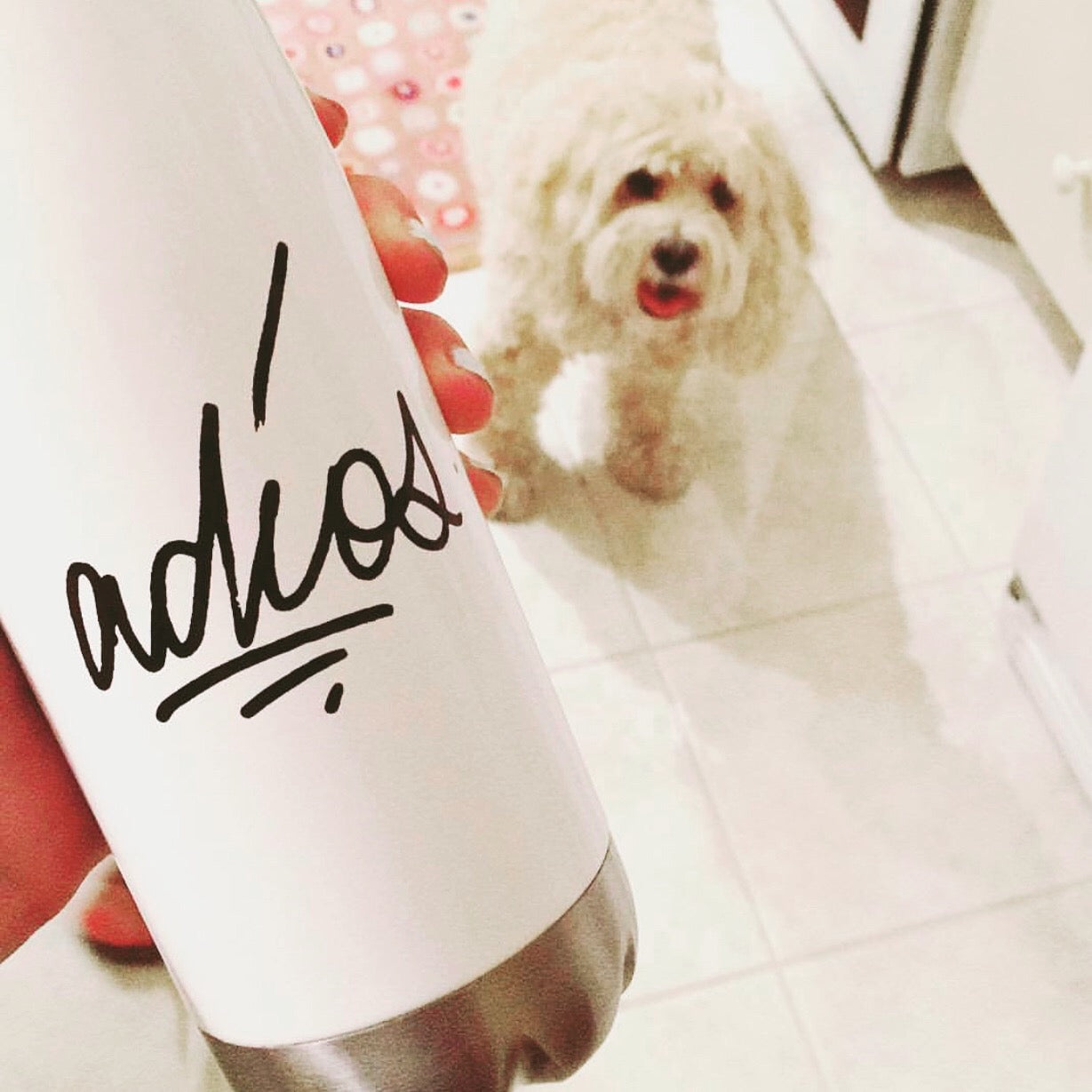 adios Stainless Steel Water Bottle